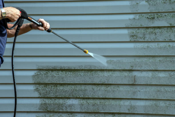 Best Residential Pressure Washing Services  in Holly, MI
