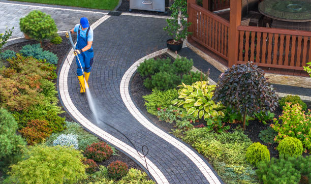 Best Fence Pressure Washing  in Holly, MI